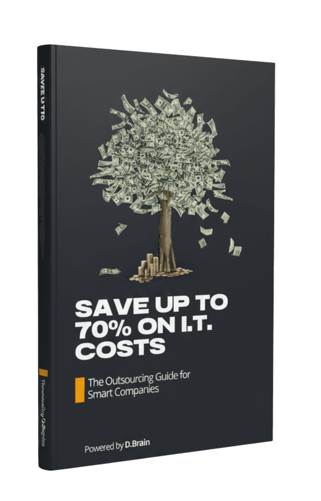 e-book cover for The Outsourcing Guide for Smart Companies